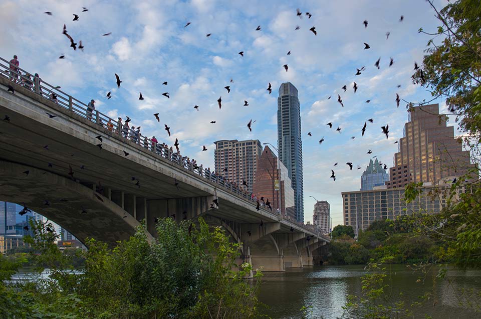 West Texas Wind Turbines