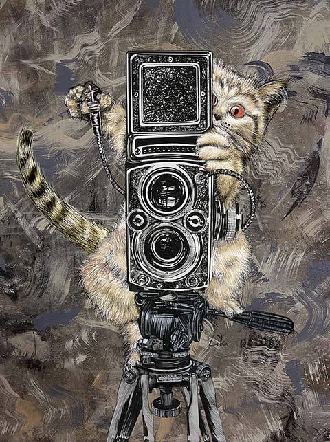 Catographer